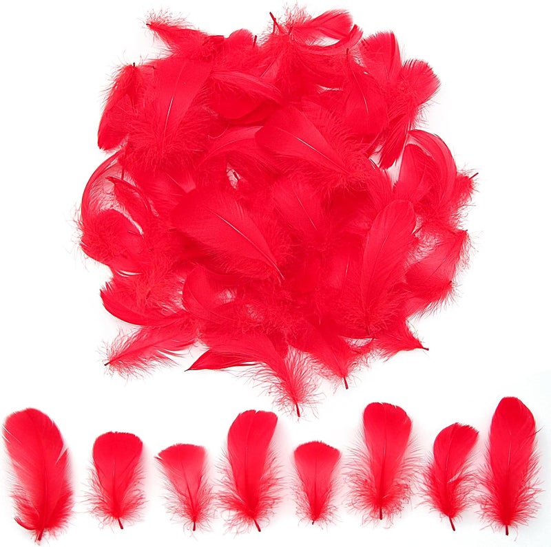 Lamar Feather 300pcs Red Feathers 2-3 Inches Bulk Feathers for Crafting, Dream Catcher Accessories, Art Projects, DIY Crafting, Handi Crafts, Party Decoration (Red) - Image 1